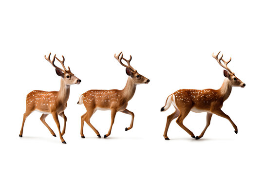 Three deer running isolated on a transparent background, Generative AI