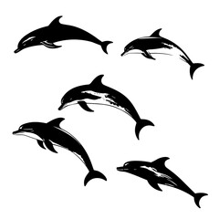 silhouettes of dolphins