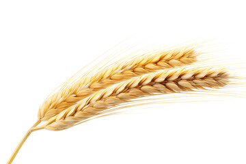 Wheat ear Euclidean isolated on a transparent background, Generative AI