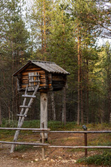 Inari, Finland A small and old log cabin up on a pole or tree trunk with a ladder.