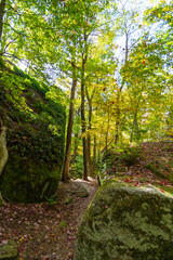 rock city park, olean , NY, fall season forest, gigantic rock formations