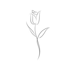 Flower in the garden. Flower illustration in line art style. Rose flower in line art style. Rose flower in line art style.