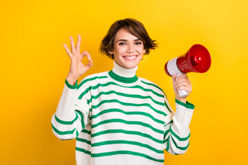 Photo of pretty confident lady wear striped pullover showing okey gesture rising bullhorn isolated yellow color background