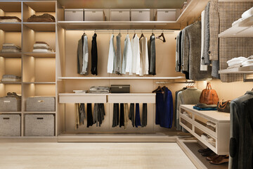 3d rendering minimal scandinavian wood walk in closet with wardrobe