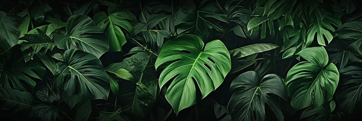 Foto op Plexiglas banner dark Bali style template green background, exotic tropical wall with green leaves , abstract dark floral pattern green lianas interweavings, monstera. © Jim1786