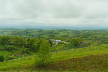 Mountainside with forest, vineyard, green meadows and houses.