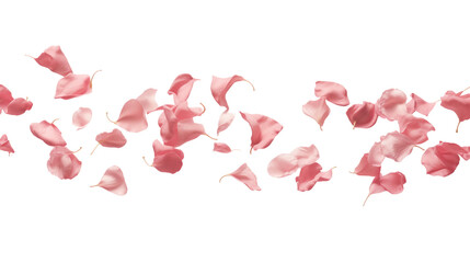 Rose petals fell, flying through the air, isolated, generative AI