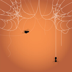 Spider and cobweb background. The scary of the halloween symbol Isolated on orange vector illustration.