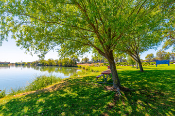 A shady tree covered picnic area at the public Blue Heron Park and Fishing Pier along the shores of Moses Lake in the Central Washington city of Moses Lake, Washington USA.