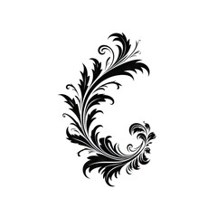 Fototapeta premium Baroque Victorian Frame Ornament, Floral Border, Baroque Decoration Element, Twin Icon, Filigree Flourish