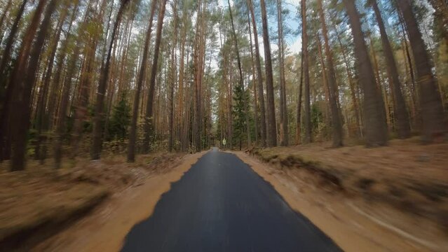 We drive along a forest road surrounded by green coniferous forests.