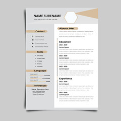 Obraz premium Professional Resume CV vector Graphic Templates