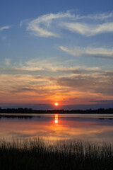 Colorful summer sunset  with reflection of clouds and trees in silhouette at North Turtle Lake in Minnesota, USA
