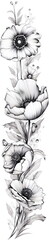 Black and white illustration. Floreal banner with flowers and leaves. Decoration drawing