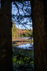 Autumn colour reflecting on the lake