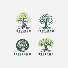 Abstract Tree of life logo icons set. Organic nature symbols. Tree branch with leaves signs. Natural plant design elements emblems. Vector illustration.