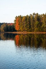 Autumn color by a lake