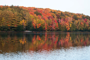 Autumn color by a lake