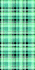 Plaid seamless pattern.Pattern suitable for textile and graphic.