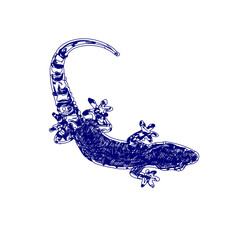 sketch of a lizard for elements in making logos and symbols