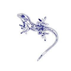 sketch of a lizard for elements in making logos and symbols