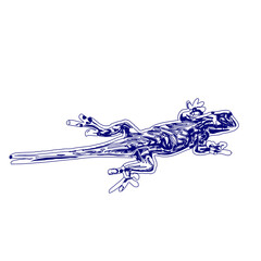 sketch of a lizard for elements in making logos and symbols