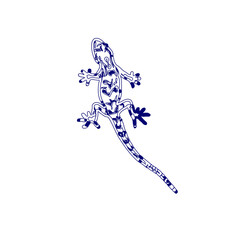 sketch of a lizard for elements in making logos and symbols