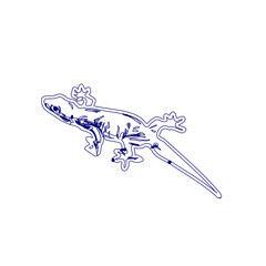 sketch of a lizard for elements in making logos and symbols