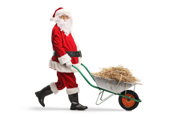 Santa claus walking and pushing a wheelbarrow with straw