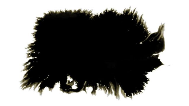 Spreading ink stain on white background