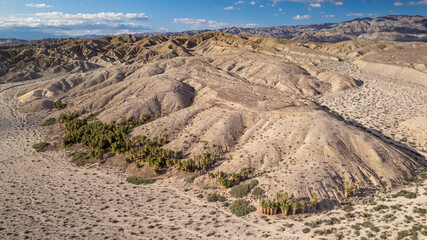 Aerial view of Willis Palms natural oasis in where fan palms grow along the San Andreas Fault