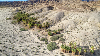Aerial view of Willis Palms natural oasis in where fan palms grow along the San Andreas Fault
