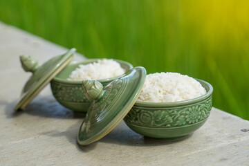 Bowl of steamed rice on green rice field background It is an important staple food for Asian people...
