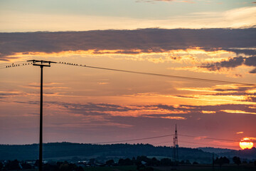 Strommasten bei Sonnenuntergang