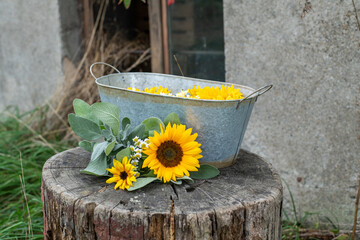 Vintage Dekoration mit Sonnenblumen, in Zinkwanne, Blüten dekorativ Sonnenblume, Salbei und...