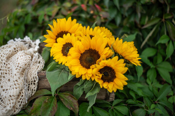 Dekoration im Spätsommer mit Sonnenblumen im Landhausstil