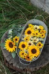 Vintage Dekoration mit Sonnenblumen, in Zinkwanne, Blüten dekorativ Sonnenblume, Salbei und Kamille, Spätsommer im Garten, Landhaus