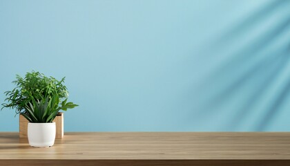 indoor plant pot tropical in blank wall background  in the table