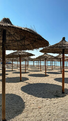  straw beach umbrellas in rows on the beach