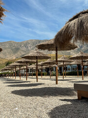  straw beach umbrellas in rows on the beach