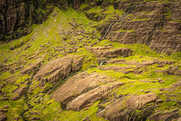 moss covered rocks with stream
