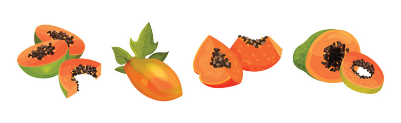 Papaya Fruit with Seeds and Orange Flesh Vector Set