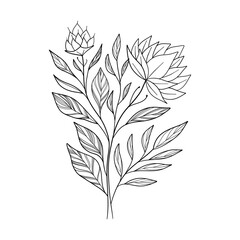 Fototapeta premium Botanical linear flower branch. Minimalist hand drawn floral element, fine line art leaves for tattoo sketch. Vector design