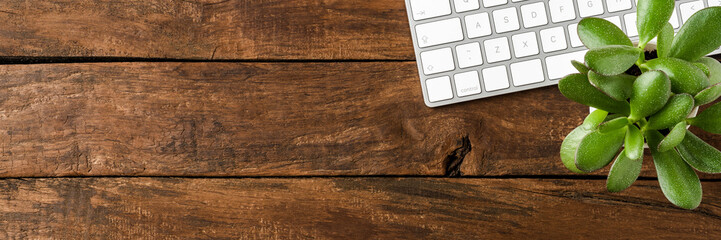 Modern computer keyboard with green succulent on wooden background. Office desktop. Top view