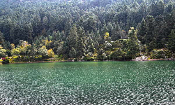 Lago "El cedral hidalgo" lago turquesa con arboles de fondo