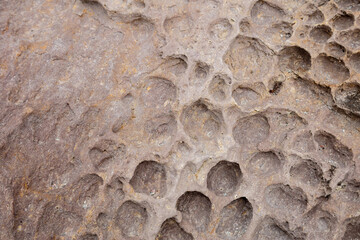 rock with carved holes, a force of nature