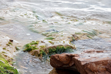 waves cover the stones on the seashore