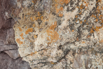 old boulder covered with orange moss