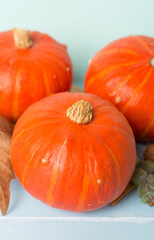 Orange pumpkins with autumn decor on wooden table