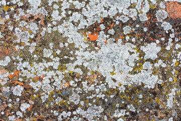 Texture background pattern an old cement stone wall as vintage